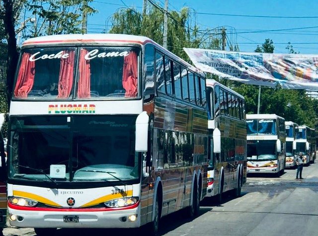 Gremio Lanus 11