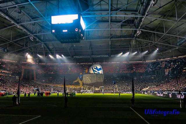 schalke bayer 1