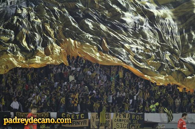 penarol 1