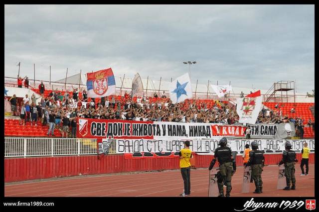 vojvodina zvezda 1