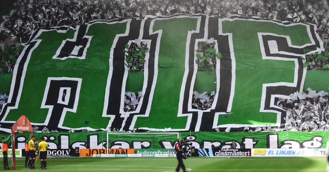 hammarby djurgarden