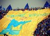 www.ultras-tifo.net